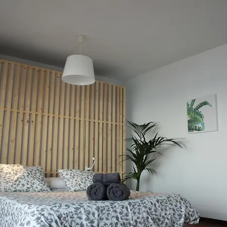 홈스테이 Views Apartamento Compartido 알리칸테